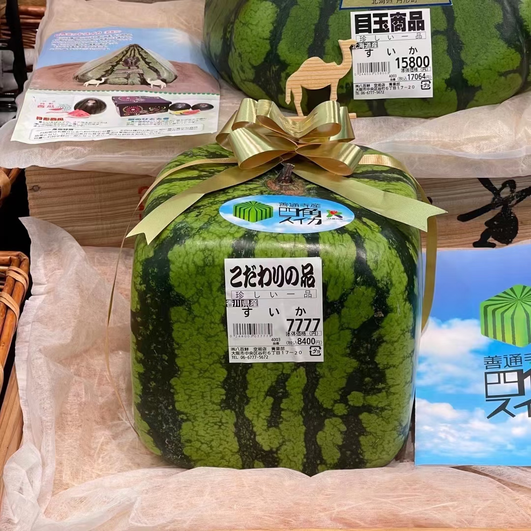  看看日本西瓜的价格，正方形的约450元,   金字塔形状的约880元。